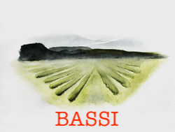 2022 Bassi Syrah